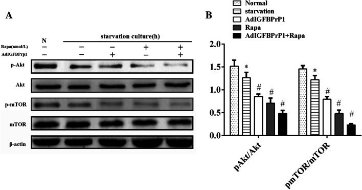 Fig. 9