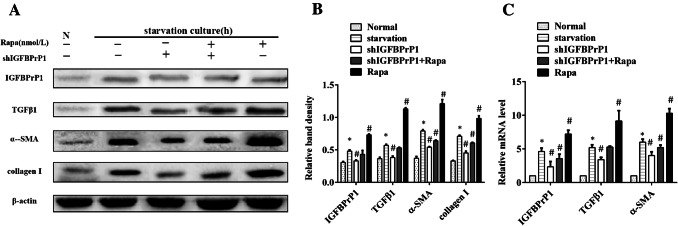 Fig. 7