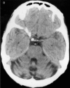 <i>Figure 1</i>