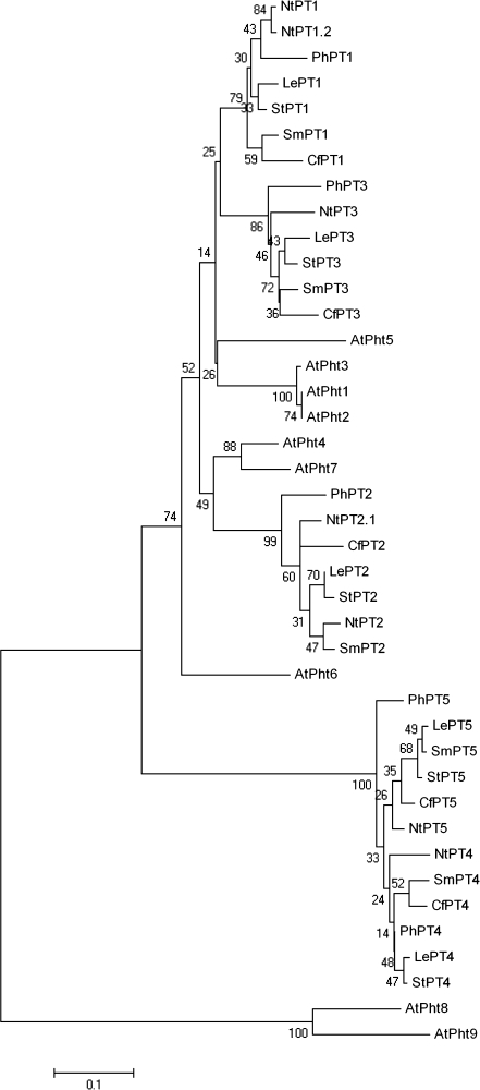 Fig. 2.