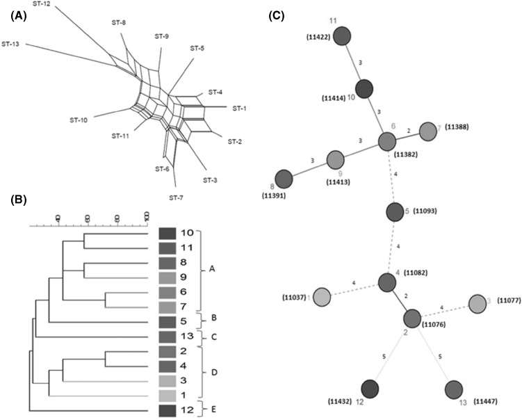 Fig. 1