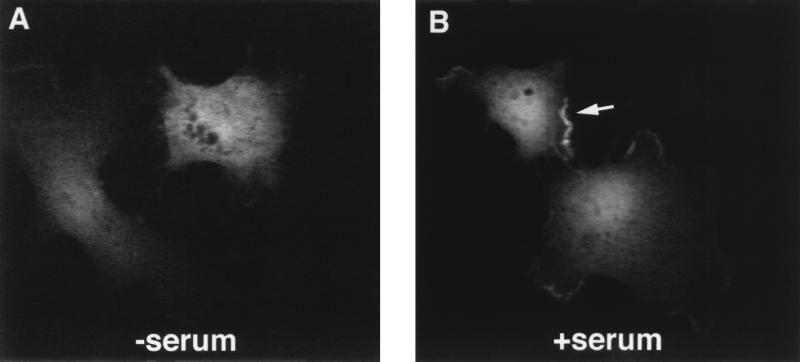 FIG. 6