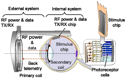 Figure 7.