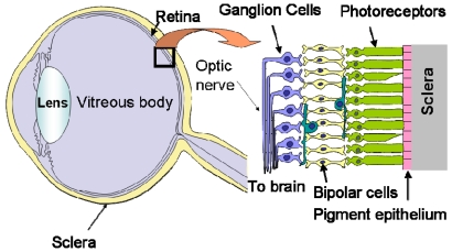 Figure 3.