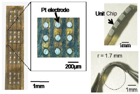 Figure 12.