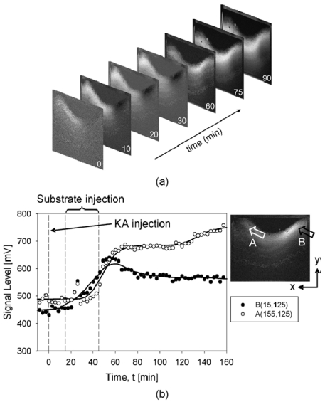 Figure 19.