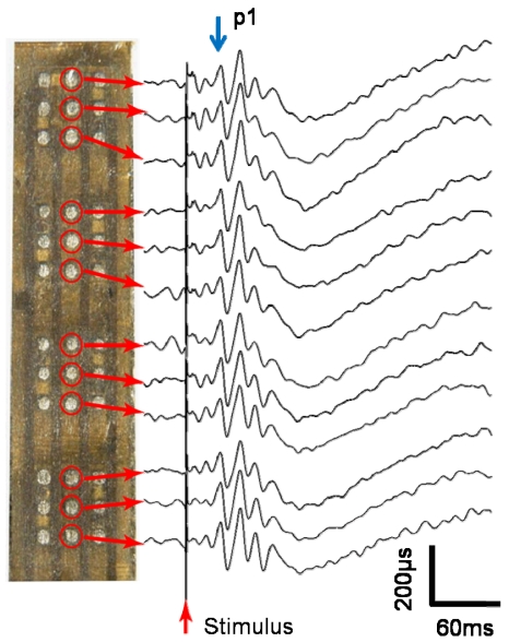 Figure 13.