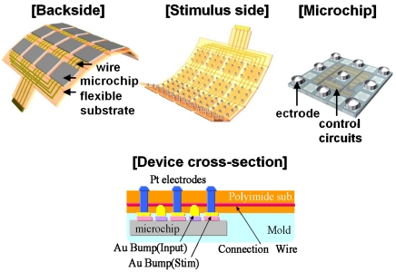 Figure 10.