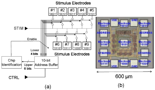 Figure 11.