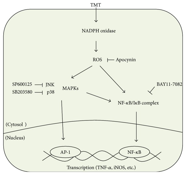 Figure 9