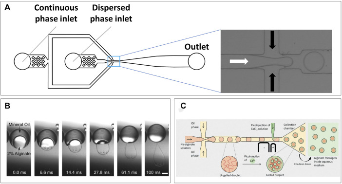 FIGURE 2