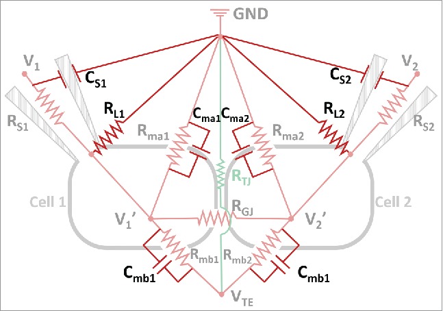 Figure 5.