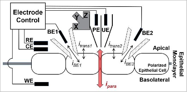 Figure 1.