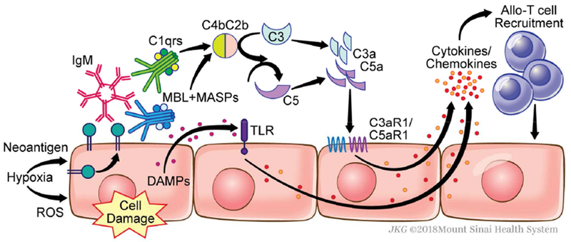 Figure 2.