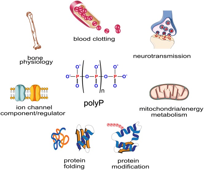 Figure 1.