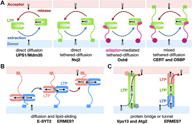 FIGURE 4