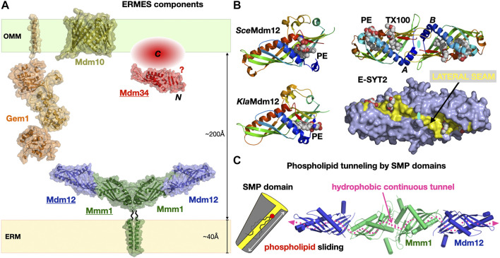 FIGURE 6