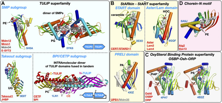 FIGURE 3