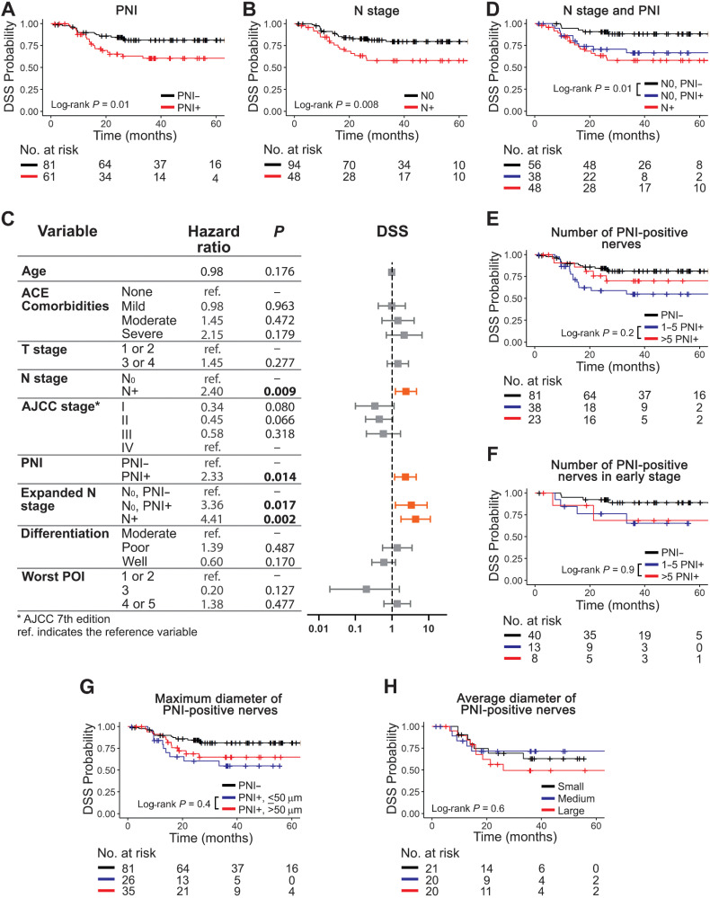 Figure 2. PNI is associated with poor DSS among node-negative patients. Number and diameter of PNI-positive nerves has no correlation with survival. PNI-positive (A) and node-positive (B) patients survive poorly. C, Univariate Cox modeling of patient-level data. Significant HRs are shown in bold and depicted in orange in the plot. D, Among node-negative patients, detection of PNI is significantly associated with poor DSS. The number of PNI-positive nerves is not associated with DSS (E), even among patients with early-stage OSCC (F). Maximum (G) or average (H) diameter of PNI-positive nerves do not associate with DSS. Tertiles were used for nerve diameter: small (< 29.2 μm), medium (29.2–47.5 μm), and large (> 47.5 μm). Kaplan–Meier survival curves using patient-level data are shown in A, B, and D through H. Log-rank P values are displayed in each plot and the number of patients at risk for each timepoint are shown below each survival plot. PNI was assessed using H&E + IHC.