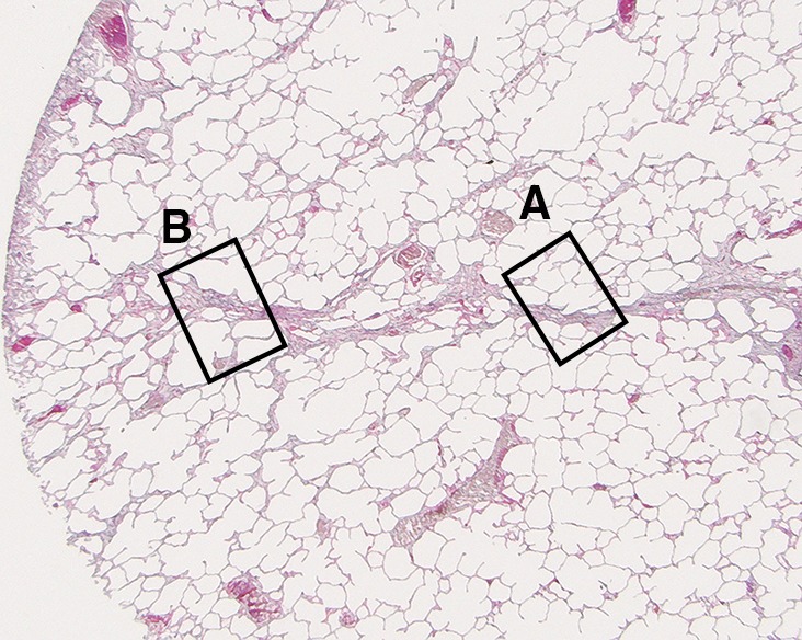 Figure 4b: