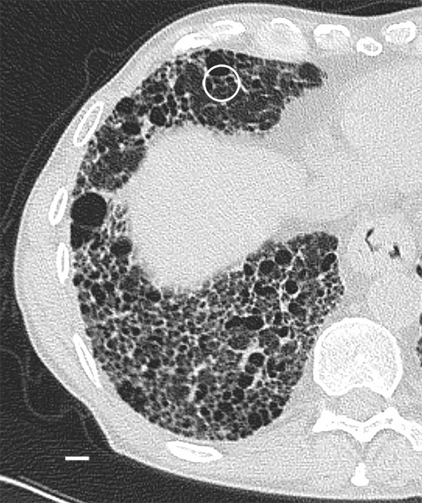 Figure 10a: