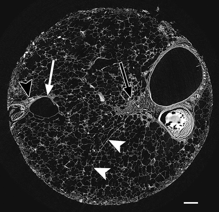 Figure 3b: