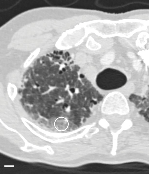 Figure 2a: