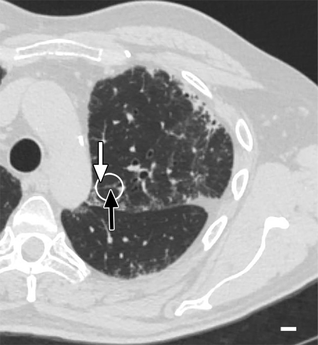 Figure 3a: