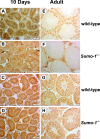 FIG. 8.