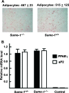 FIG. 7.