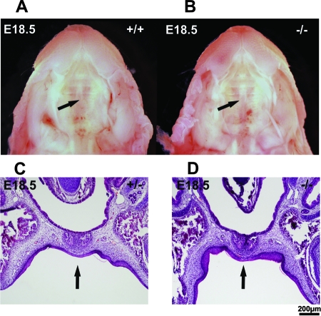 FIG. 6.