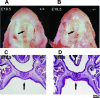 FIG. 6.