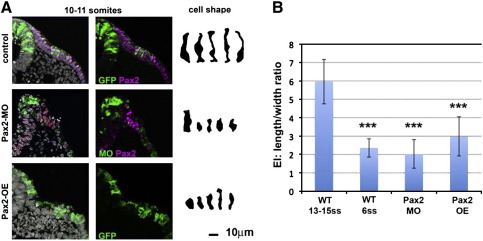 Fig. 4