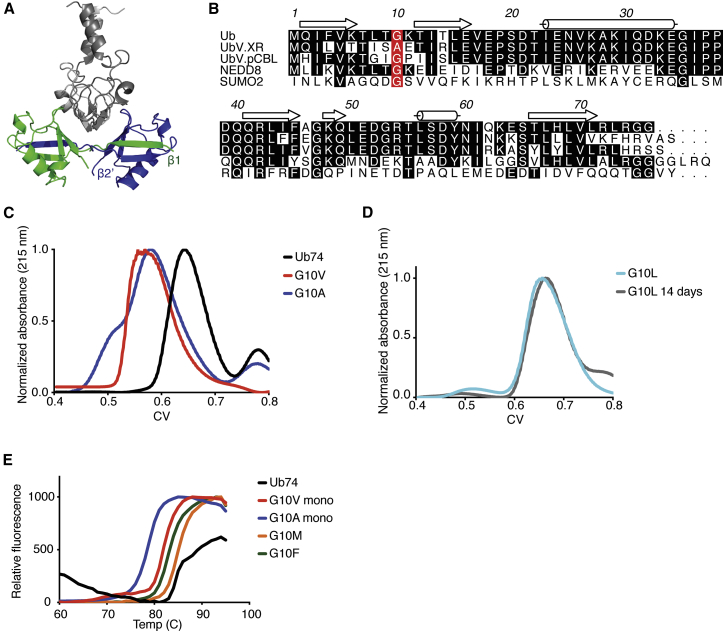 Figure 1