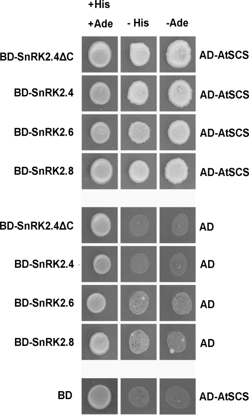 FIGURE 4.