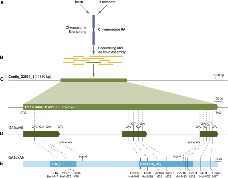 Figure 4.