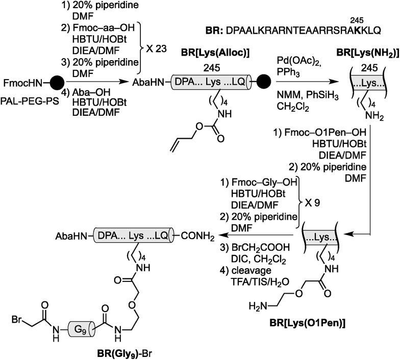 Scheme 1