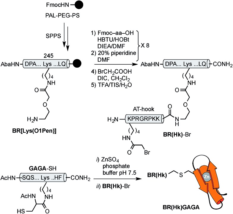 Scheme 3