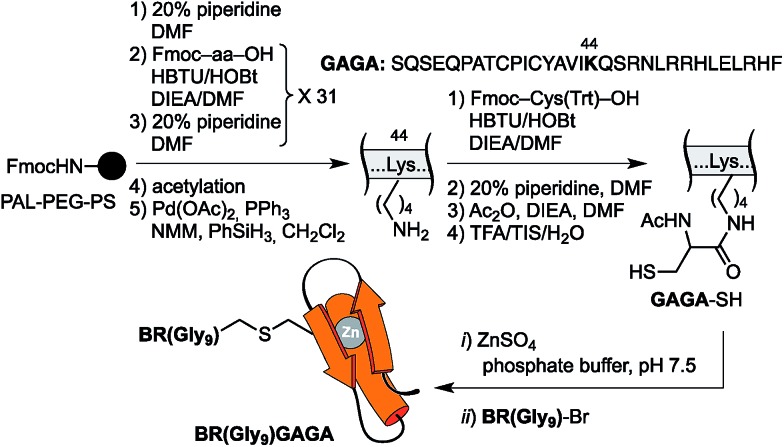 Scheme 2