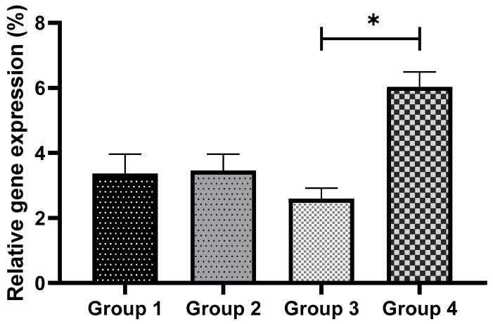 Figure 12