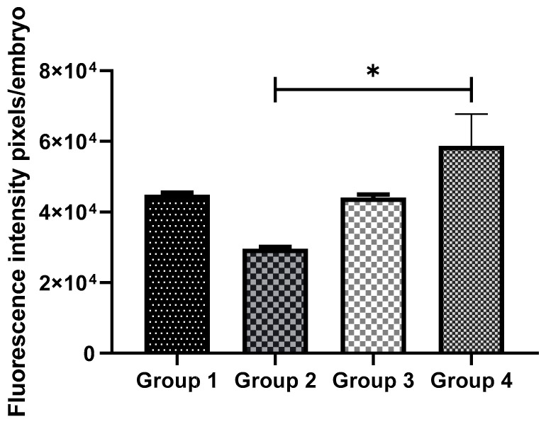 Figure 6