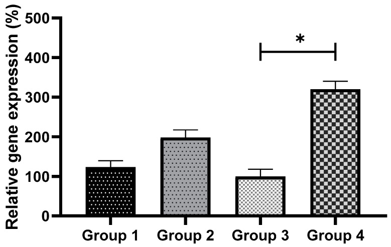 Figure 10