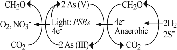 FIG. 5.