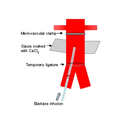 Fig. (1)