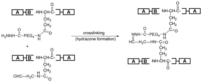 Scheme 3