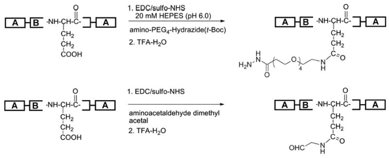 Scheme 2