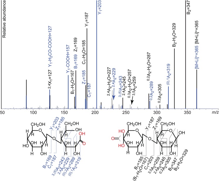 FIGURE 4.