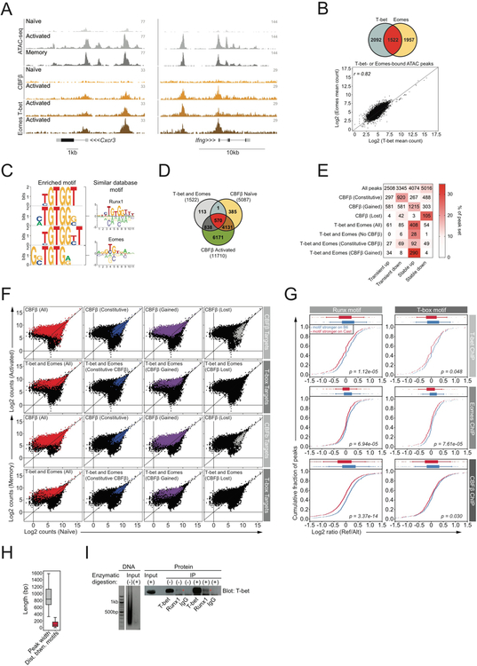 Figure 5: