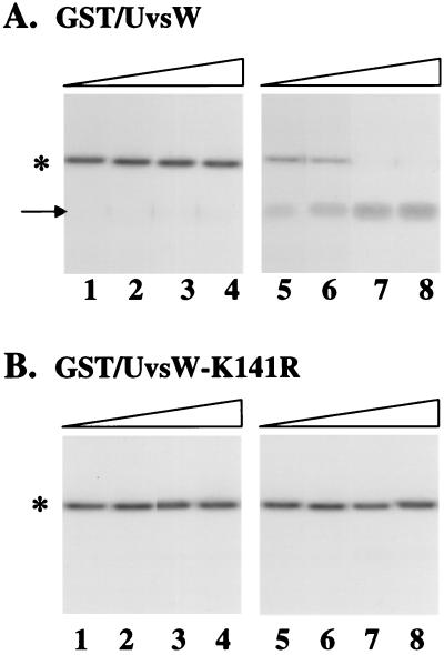 FIG. 7