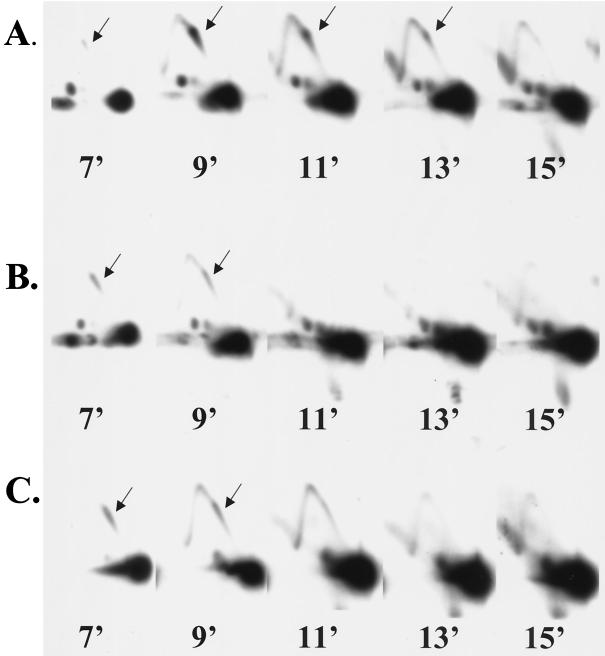 FIG. 5